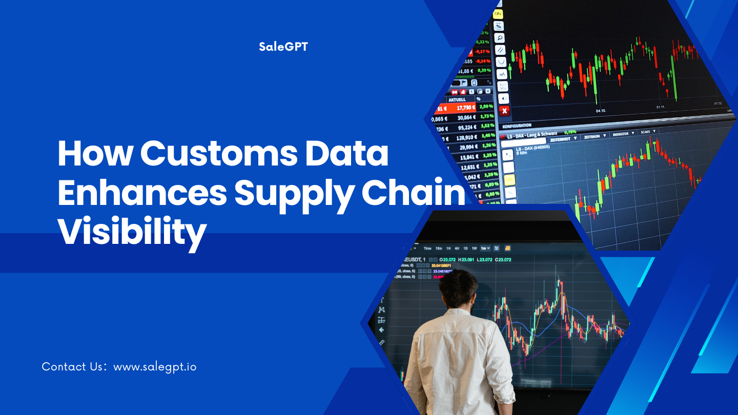 How Customs Data Enhances Supply Chain Visibility